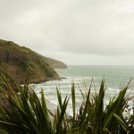 025 Muriwai beach