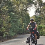 054 cycling in Kauri forest