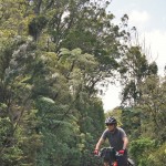 054 cycling in Kauri forest