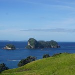 179 Coromandel