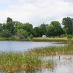 210 lake Rerewhakaaitu