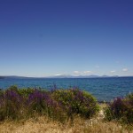 253 lake taupo