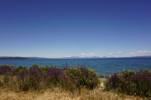 253 lake taupo