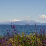 254 lake taupo