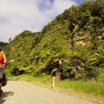 267 Tangarakau Gorge