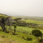 south of Cape Reinga