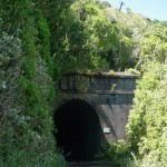 442 Rimutaka Railtrail