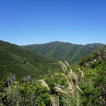 450 Rimutaka Railtrail