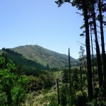 451 Rimutaka Railtrial