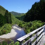 453 Rimutaka Railtrail