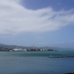 459 Wellington Harbour