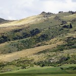 1038 lightplay on otago rail trail