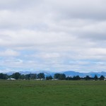 710 out at ChCh airport