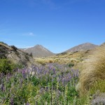 808 Lindis Pass