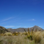 810 Lindis Pass