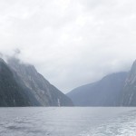 926 Milford Sound