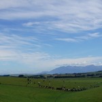 960 dairy out of Clifden