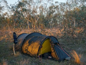 A251 campsite Tarago