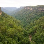 A278 Fitzroy Falls