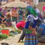 V442 Bac Ha Market