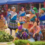 V443 Bac Ha Market