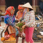 V445 Bac Ha Market