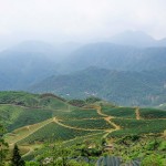 V526 between SaPa and Tam Duong