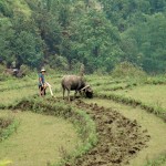 V575 between Tam Duong and Lai Chau