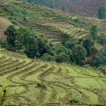 V586 between Lai Chau and Phuong Tho