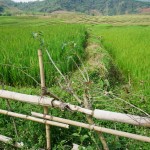 V623 between Muong Cha and Dien Bien Phu