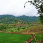 C057 rice fields between Mengzhe and Lancang