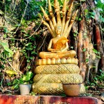 L182 Buddhas around Phu Si, Luang Prabang