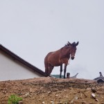 C394 village on Tea Horse Rd before Shaxi