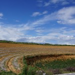 C440 between Shaxi and Lijiang