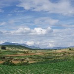 C441 between Shaxi and Lijiang