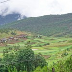 C600 village north of Baishuitai 3100m