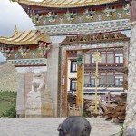 C676 Songzanlin Monastery