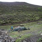 CS068 camp in tibetan village for tourism