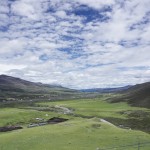 CS142 Grassland above 4000m after Sangdui