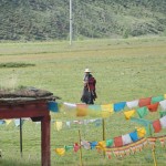 S156 Grassland around Jiawa